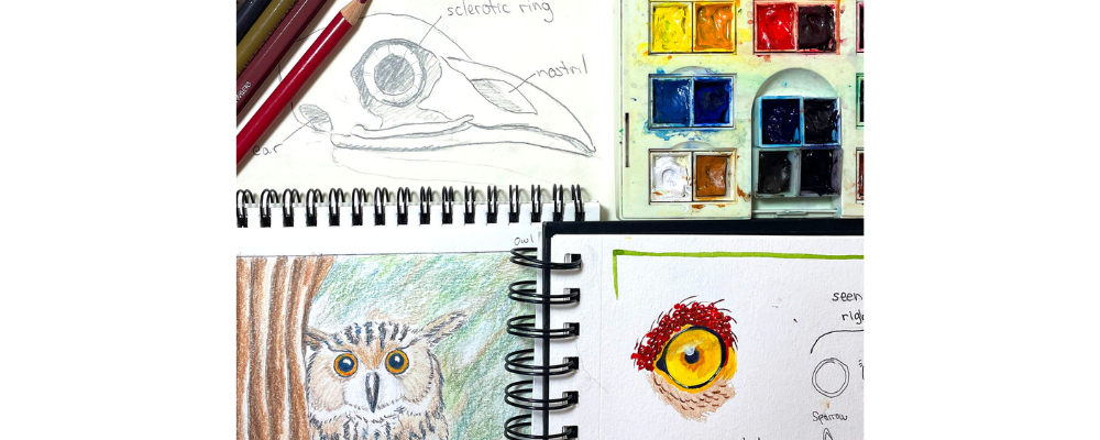 Nature Journaling with Friends of Gantry Plaza State Park